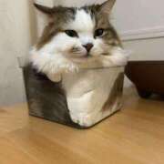 ヒメ日記 2025/09/30 03:17 投稿 ちさと 丸妻 新横浜店