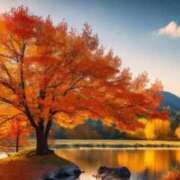 ヒメ日記 2025/11/06 16:14 投稿 ちさと 丸妻 新横浜店