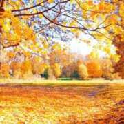 ヒメ日記 2025/11/07 18:04 投稿 ちさと 丸妻 新横浜店