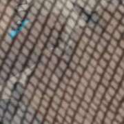 ヒメ日記 2025/10/16 20:45 投稿 めるたん 性の極み 技の伝道師 ver. 匠