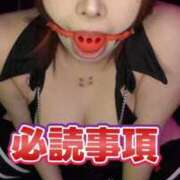 ヒメ日記 2025/11/16 07:15 投稿 めるたん 性の極み 技の伝道師 ver. 匠