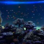 ヒメ日記 2025/09/16 23:57 投稿 ひまり 池袋しろパラ