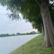 ヒメ日記 2025/09/25 14:15 投稿 ひまり 池袋しろパラ