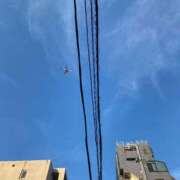 ヒメ日記 2025/10/10 15:07 投稿 ひまり 池袋しろパラ