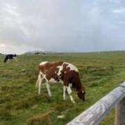 ヒメ日記 2025/10/18 22:01 投稿 ひまり 池袋しろパラ