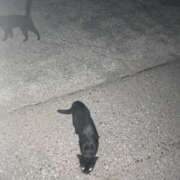 ヒメ日記 2026/08/13 20:37 投稿 れな Love Trip