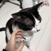 ヒメ日記 2026/10/22 20:22 投稿 れな Love Trip