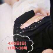 ヒメ日記 2026/04/05 10:41 投稿 風間きこ 池袋㊙エステ～フル勃起～