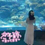 ヒメ日記 2025/09/24 22:34 投稿 かのん ニュー姫