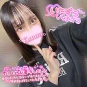 ヒメ日記 2025/10/30 09:24 投稿 かのん ニュー姫