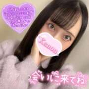 ヒメ日記 2025/11/14 13:10 投稿 かのん ニュー姫