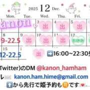 ヒメ日記 2025/11/17 23:45 投稿 かのん ニュー姫