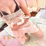 ヒメ日記 2025/12/05 12:04 投稿 姫咲　りん プルプル人妻専門店