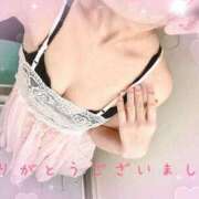 ヒメ日記 2026/02/06 14:30 投稿 姫咲　りん プルプル人妻専門店