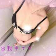 ヒメ日記 2026/02/20 10:30 投稿 姫咲　りん プルプル人妻専門店