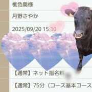 ヒメ日記 2025/09/20 09:25 投稿 月野さやか　(つきのさやか） 桃色奥様(佐賀)