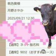 ヒメ日記 2025/09/21 11:29 投稿 月野さやか　(つきのさやか） 桃色奥様(佐賀)