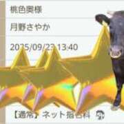 ヒメ日記 2025/09/23 13:19 投稿 月野さやか　(つきのさやか） 桃色奥様(佐賀)