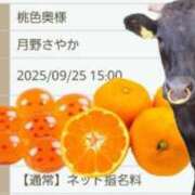 ヒメ日記 2025/09/24 23:05 投稿 月野さやか　(つきのさやか） 桃色奥様(佐賀)