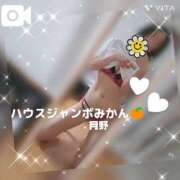 ヒメ日記 2025/09/26 12:25 投稿 月野さやか　(つきのさやか） 桃色奥様(佐賀)