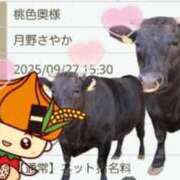 ヒメ日記 2025/09/27 10:27 投稿 月野さやか　(つきのさやか） 桃色奥様(佐賀)