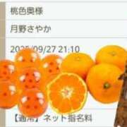 ヒメ日記 2025/09/27 20:55 投稿 月野さやか　(つきのさやか） 桃色奥様(佐賀)