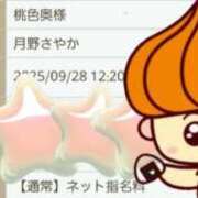 ヒメ日記 2025/09/28 10:43 投稿 月野さやか　(つきのさやか） 桃色奥様(佐賀)