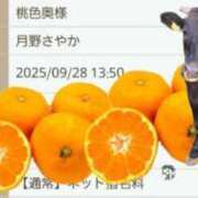 ヒメ日記 2025/09/28 14:07 投稿 月野さやか　(つきのさやか） 桃色奥様(佐賀)