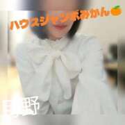 ヒメ日記 2025/10/06 12:45 投稿 月野さやか　(つきのさやか） 桃色奥様(佐賀)