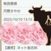 ヒメ日記 2025/10/10 12:07 投稿 月野さやか　(つきのさやか） 桃色奥様(佐賀)