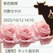 ヒメ日記 2025/10/12 11:25 投稿 月野さやか　(つきのさやか） 桃色奥様(佐賀)