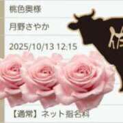 ヒメ日記 2025/10/13 11:28 投稿 月野さやか　(つきのさやか） 桃色奥様(佐賀)