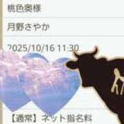 ヒメ日記 2025/10/16 10:05 投稿 月野さやか　(つきのさやか） 桃色奥様(佐賀)