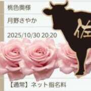 ヒメ日記 2025/10/29 13:15 投稿 月野さやか　(つきのさやか） 桃色奥様(佐賀)