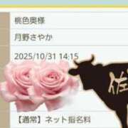 ヒメ日記 2025/10/31 14:15 投稿 月野さやか　(つきのさやか） 桃色奥様(佐賀)