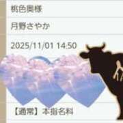 ヒメ日記 2025/11/01 14:45 投稿 月野さやか　(つきのさやか） 桃色奥様(佐賀)