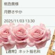 ヒメ日記 2025/11/02 20:55 投稿 月野さやか　(つきのさやか） 桃色奥様(佐賀)