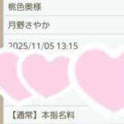 ヒメ日記 2025/11/05 11:05 投稿 月野さやか　(つきのさやか） 桃色奥様(佐賀)