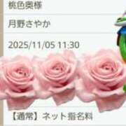 ヒメ日記 2025/11/05 11:18 投稿 月野さやか　(つきのさやか） 桃色奥様(佐賀)