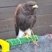 ヒメ日記 2025/11/05 19:35 投稿 月野さやか　(つきのさやか） 桃色奥様(佐賀)