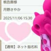 ヒメ日記 2025/11/06 14:55 投稿 月野さやか　(つきのさやか） 桃色奥様(佐賀)