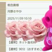 ヒメ日記 2025/11/09 09:25 投稿 月野さやか　(つきのさやか） 桃色奥様(佐賀)