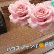 ヒメ日記 2025/11/11 01:35 投稿 月野さやか　(つきのさやか） 桃色奥様(佐賀)