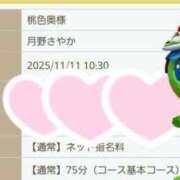 ヒメ日記 2025/11/11 10:35 投稿 月野さやか　(つきのさやか） 桃色奥様(佐賀)