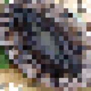 ヒメ日記 2025/11/21 21:45 投稿 月野さやか　(つきのさやか） 桃色奥様(佐賀)