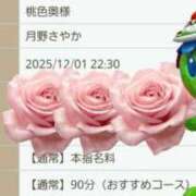 ヒメ日記 2025/12/01 12:55 投稿 月野さやか　(つきのさやか） 桃色奥様(佐賀)
