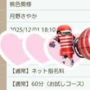 ヒメ日記 2025/12/01 15:45 投稿 月野さやか　(つきのさやか） 桃色奥様(佐賀)