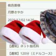 ヒメ日記 2025/12/02 14:25 投稿 月野さやか　(つきのさやか） 桃色奥様(佐賀)