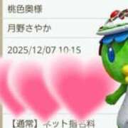 ヒメ日記 2025/12/03 14:35 投稿 月野さやか　(つきのさやか） 桃色奥様(佐賀)