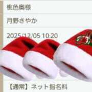 ヒメ日記 2025/12/05 08:25 投稿 月野さやか　(つきのさやか） 桃色奥様(佐賀)